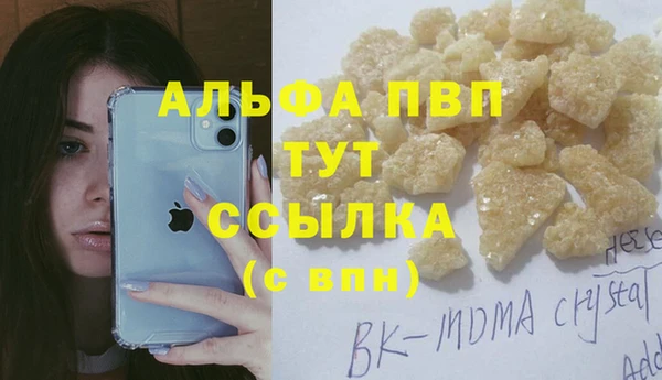 спайс Михайлов
