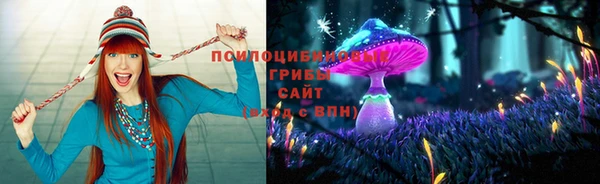 хмурый Михайловск