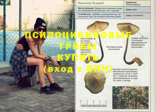 крисы Медногорск