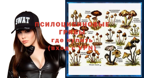 соль курить ск Михайловка