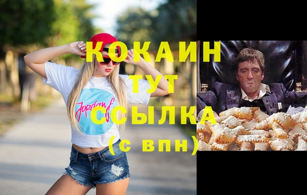 бошки Мегион