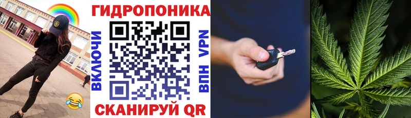 Шишки марихуана план где найти Катав-Ивановск